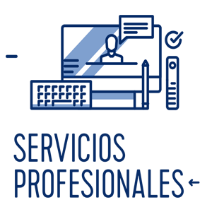 servicios prof